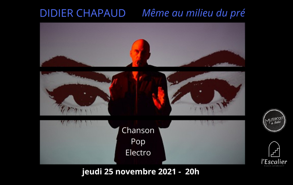 Didier Chapaud