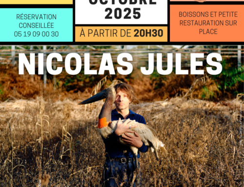 Concert Nicolas Jules