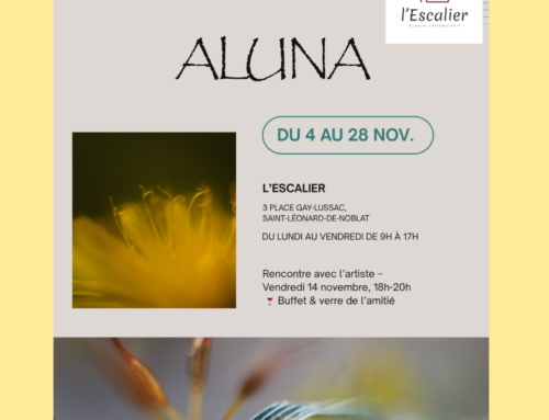 Expo Aluna du 4 au 28 novembre