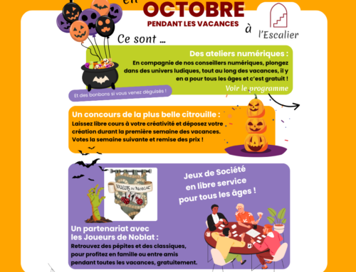 Programme Toussaint